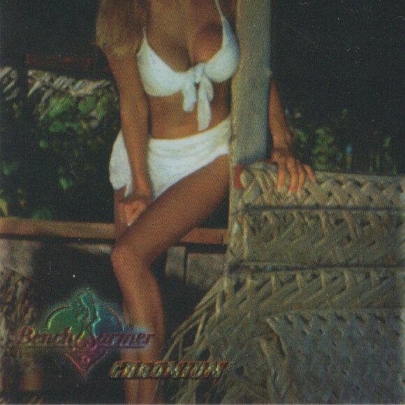 1997 Bench Warmer '97  Pamela Anderson Chromium Chrom Insert Chase Card #3 of 4 - Picture 2 of 4